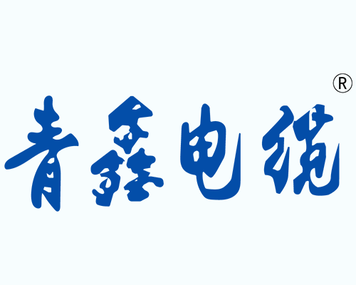 公司簡介